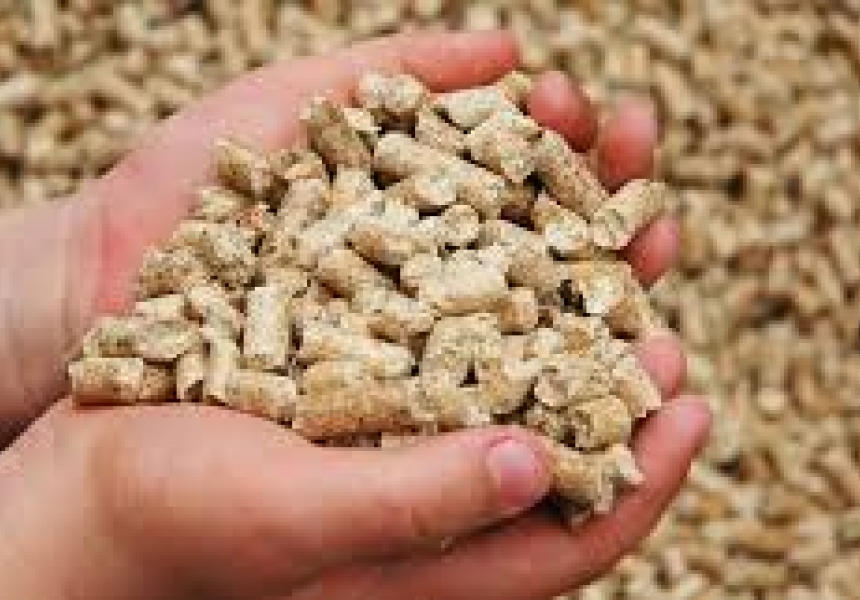 PELET YAKIT İLETİŞİM